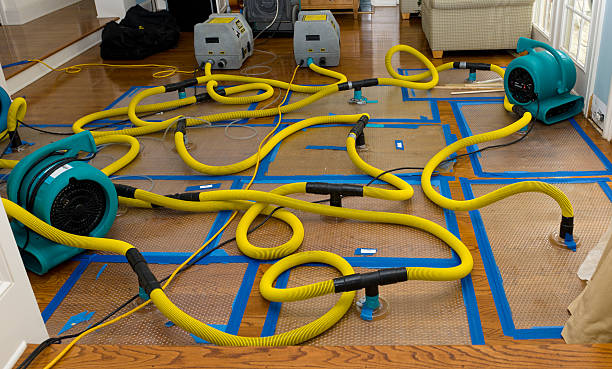 Professional Basement Flood Cleanup technician working in Edwards, CA